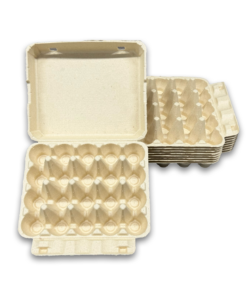 E20 Egg Carton (2)
