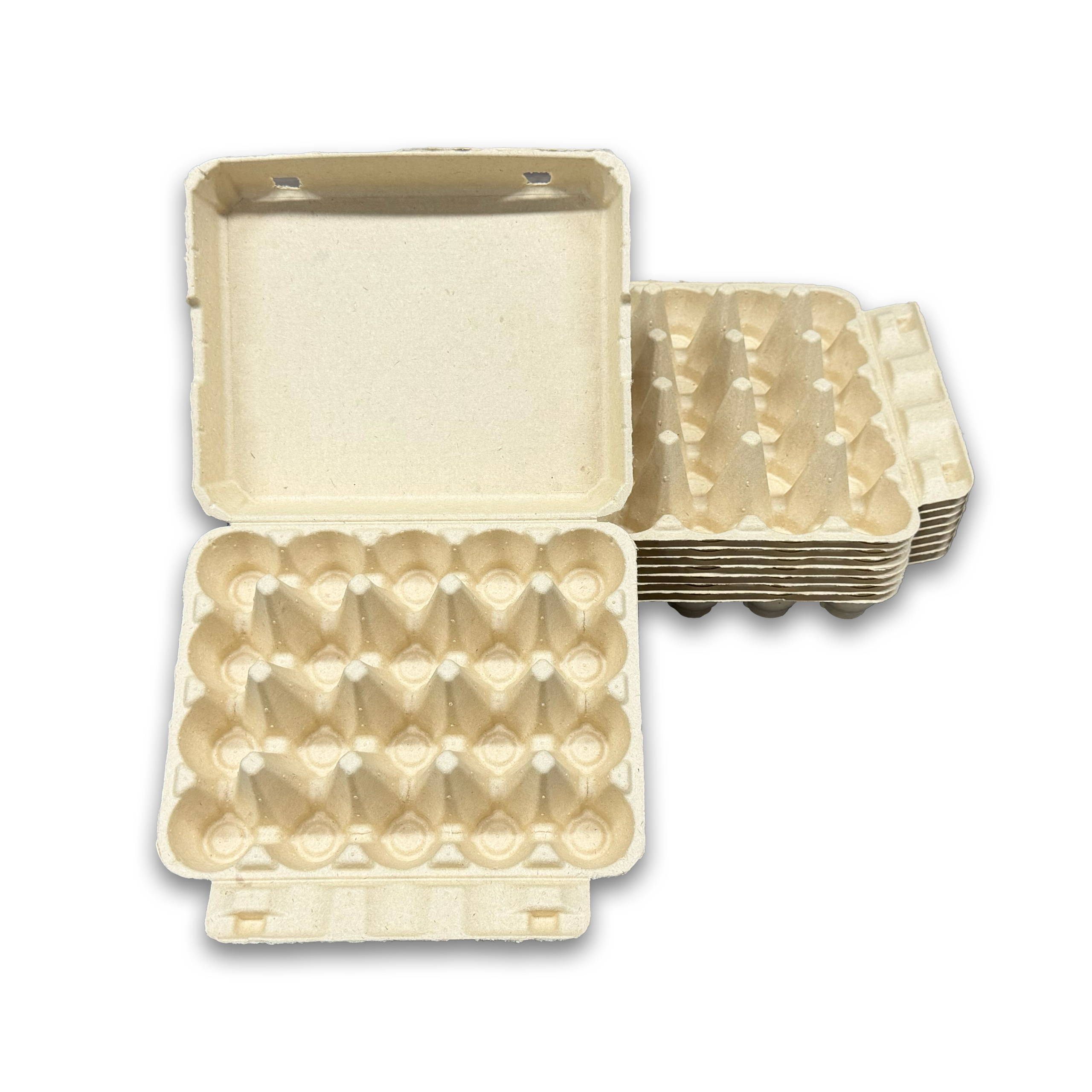 E20 Egg Carton (2)