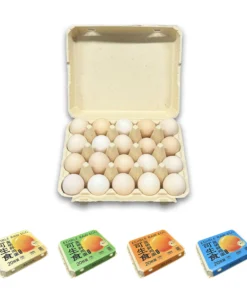 E20 Egg Carton