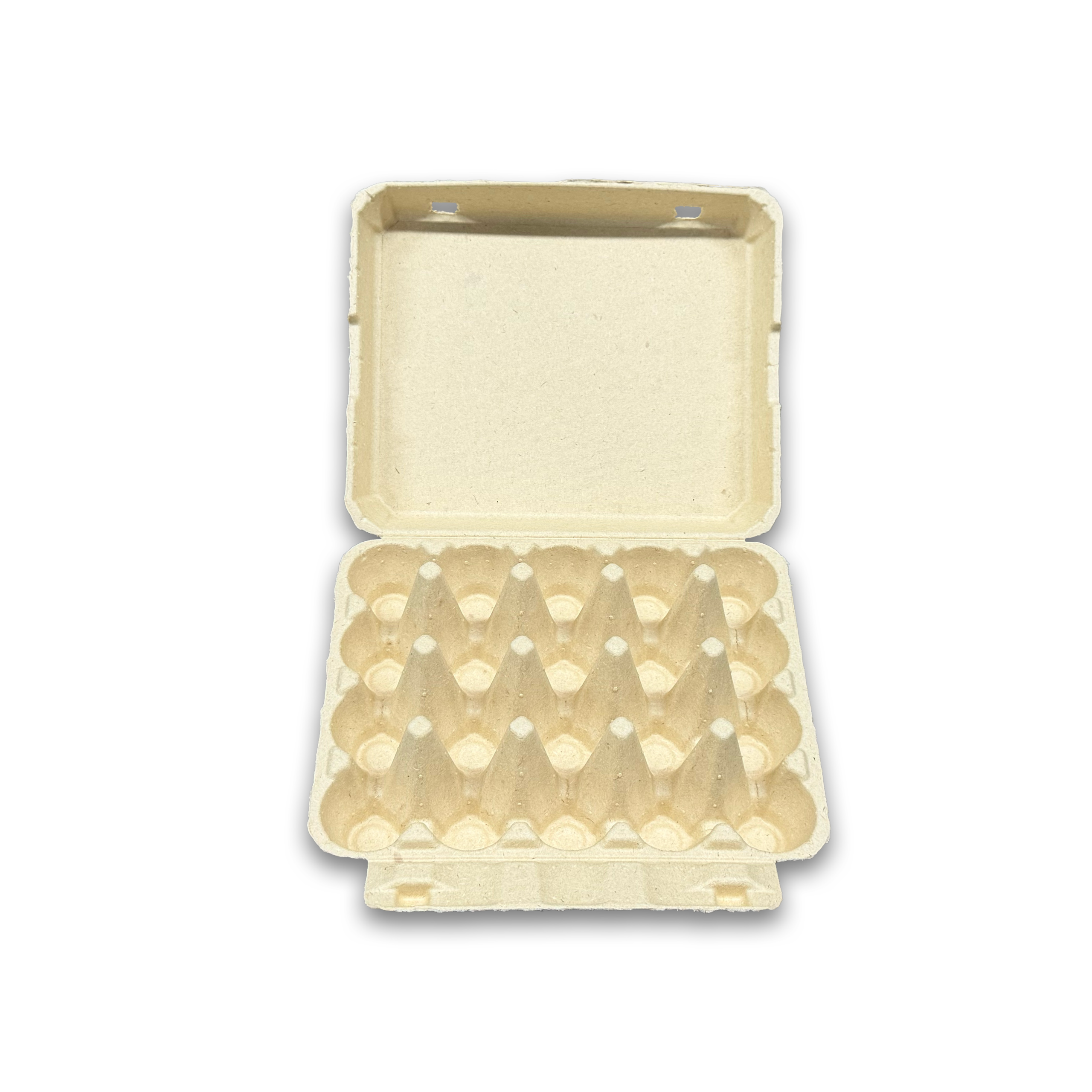 E20 Egg Carton (3)