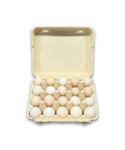 E20 Egg Carton (4)