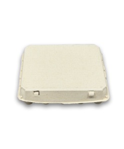 E20 Egg Carton (5)