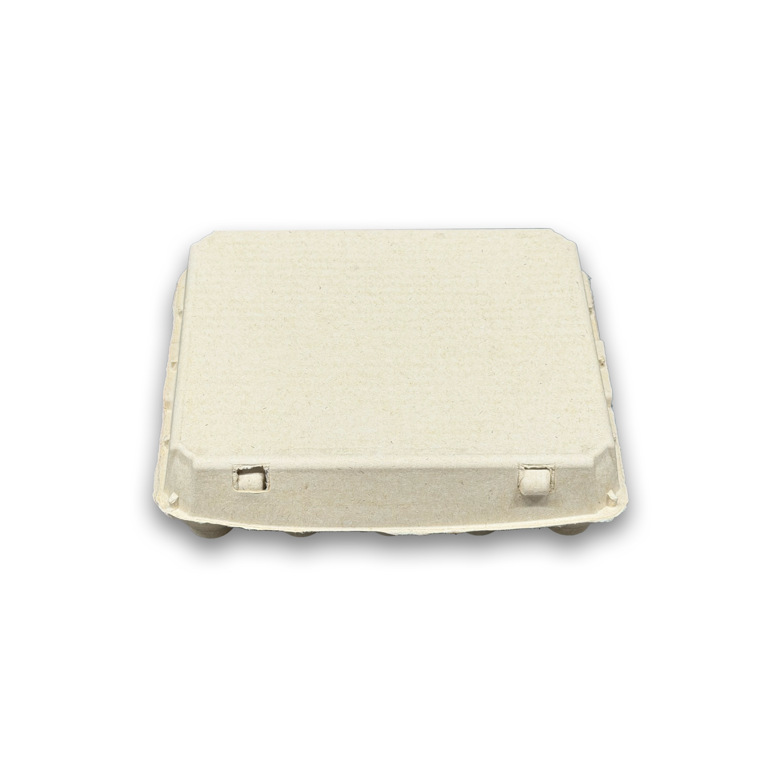 E20 Egg Carton (5)