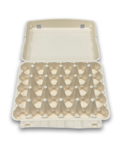 E30 Egg Carton (1)