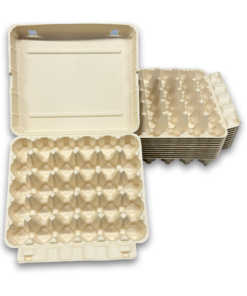 E30 Egg Carton (2)