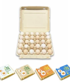 E30 Egg Carton