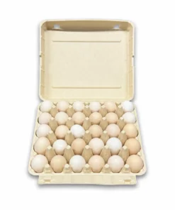 E30 Egg Carton (4)