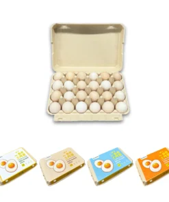 E24 Egg Carton
