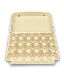 E24 Egg Carton (3)