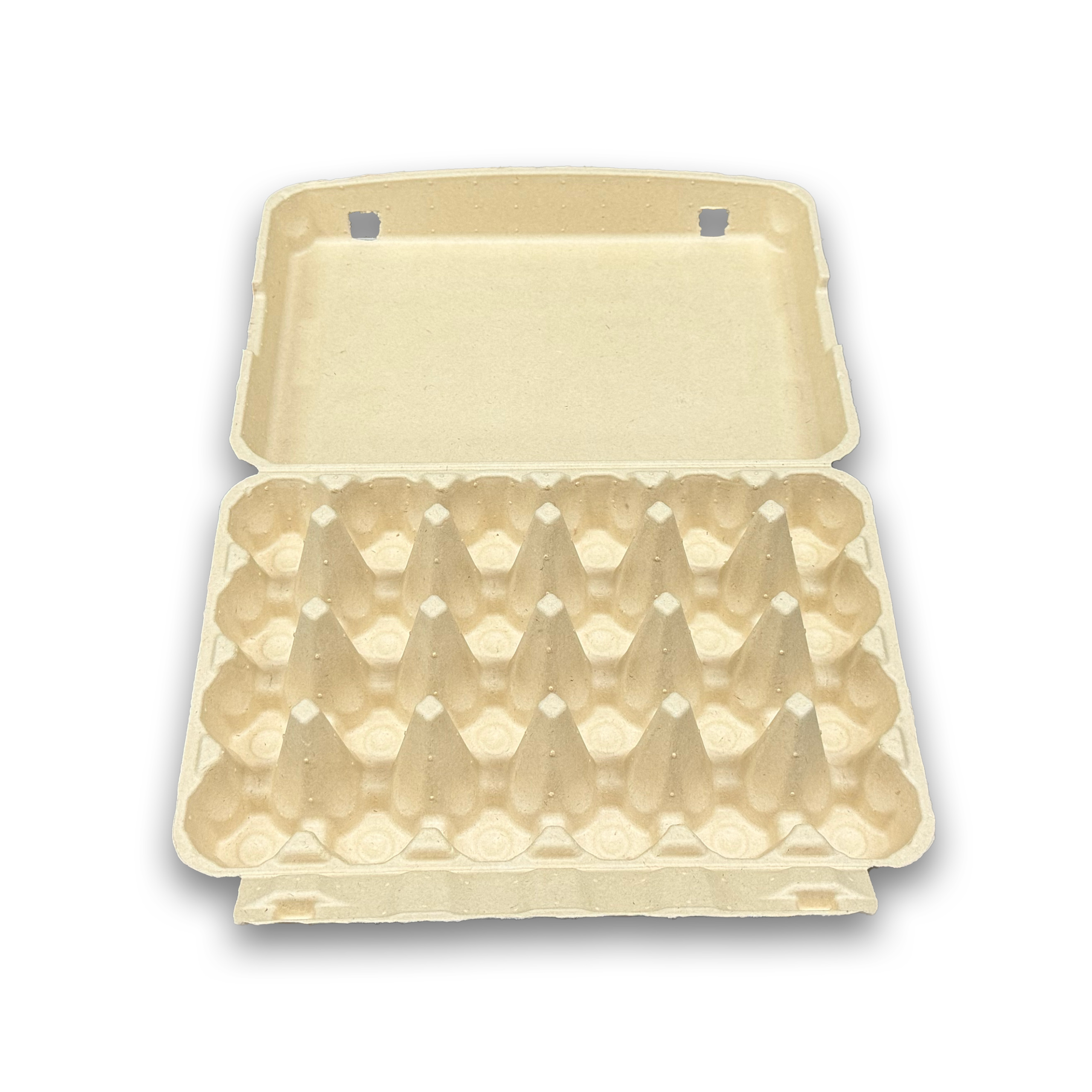 E24 Egg Carton (3)