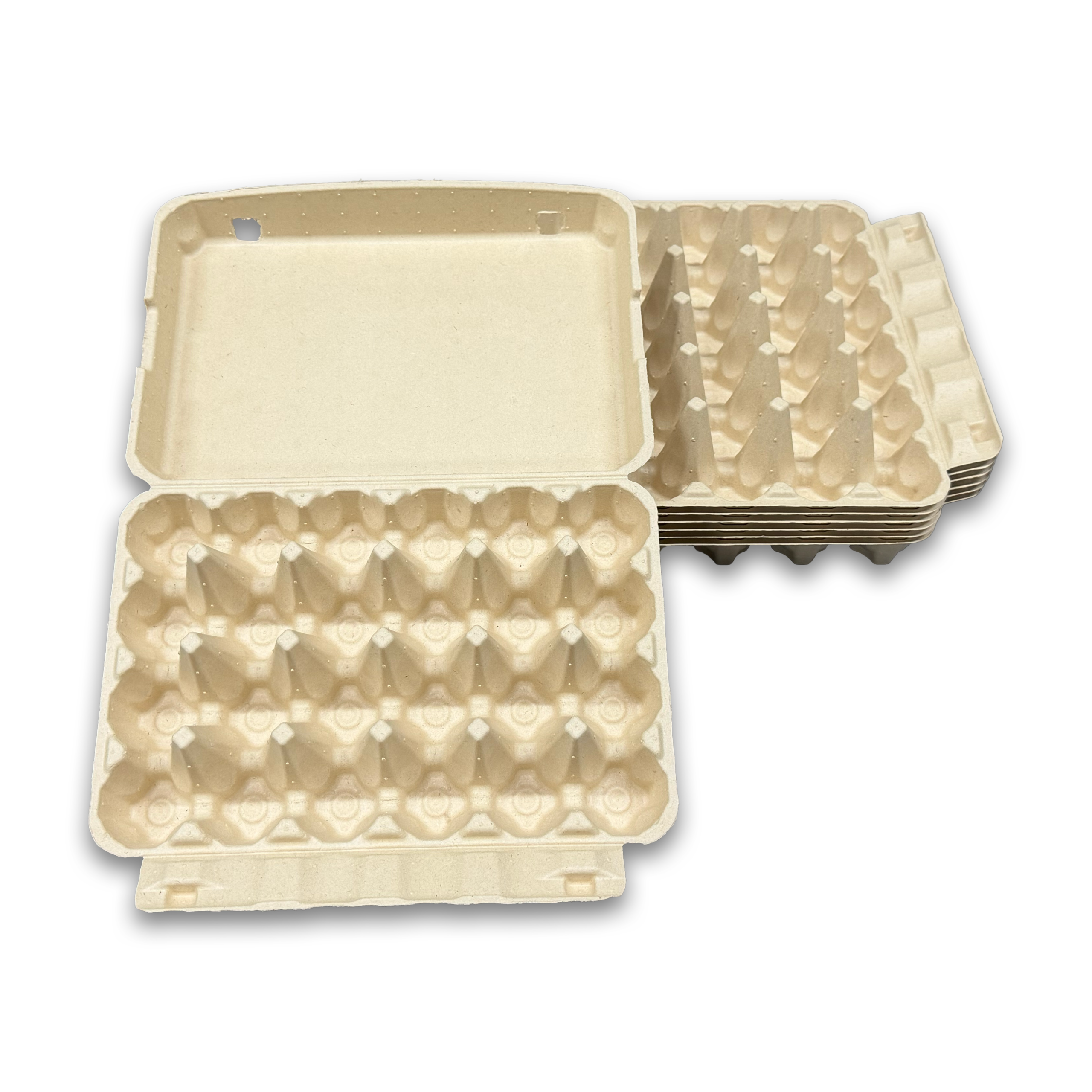 E24 Egg Carton (4)