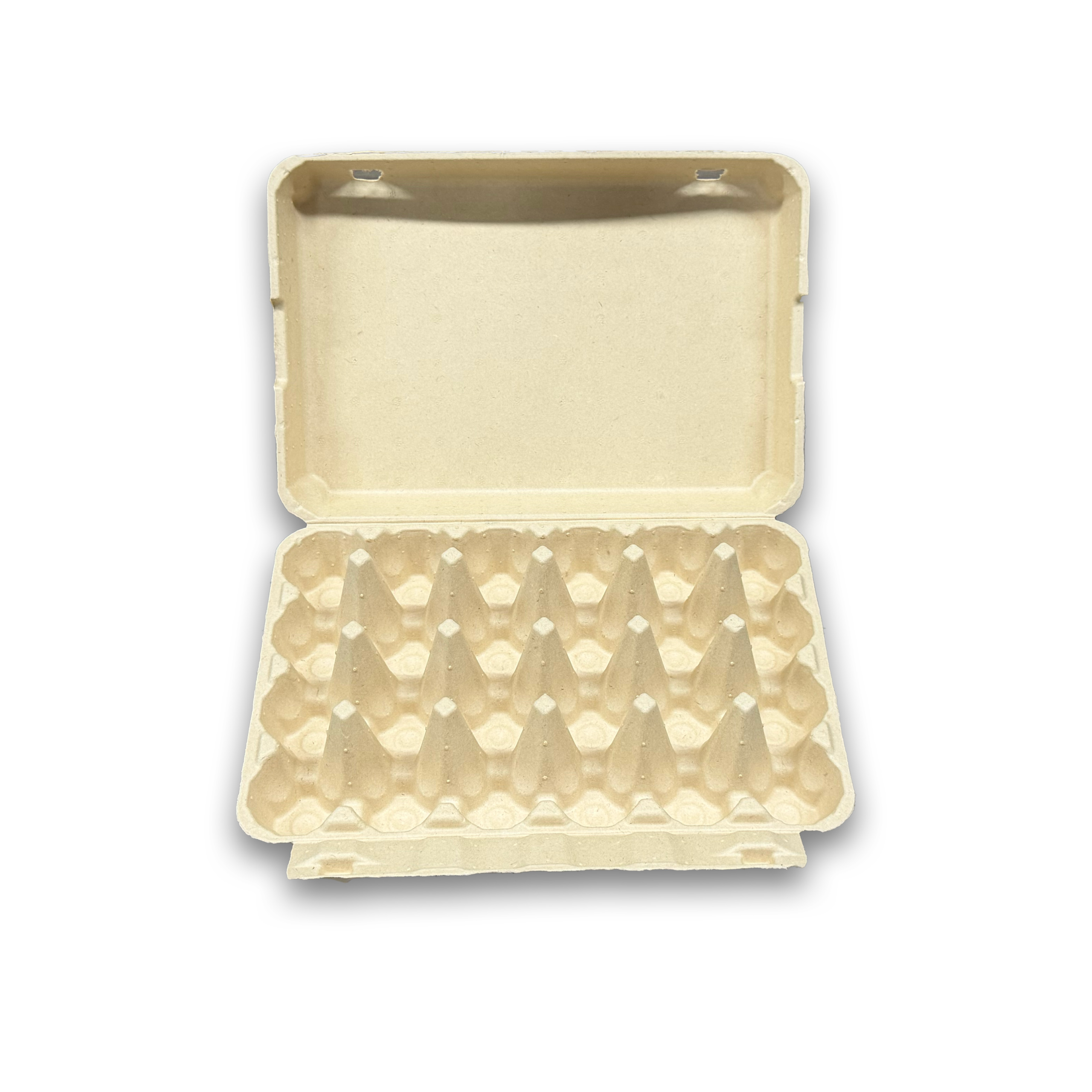 E24 Egg Carton (5)