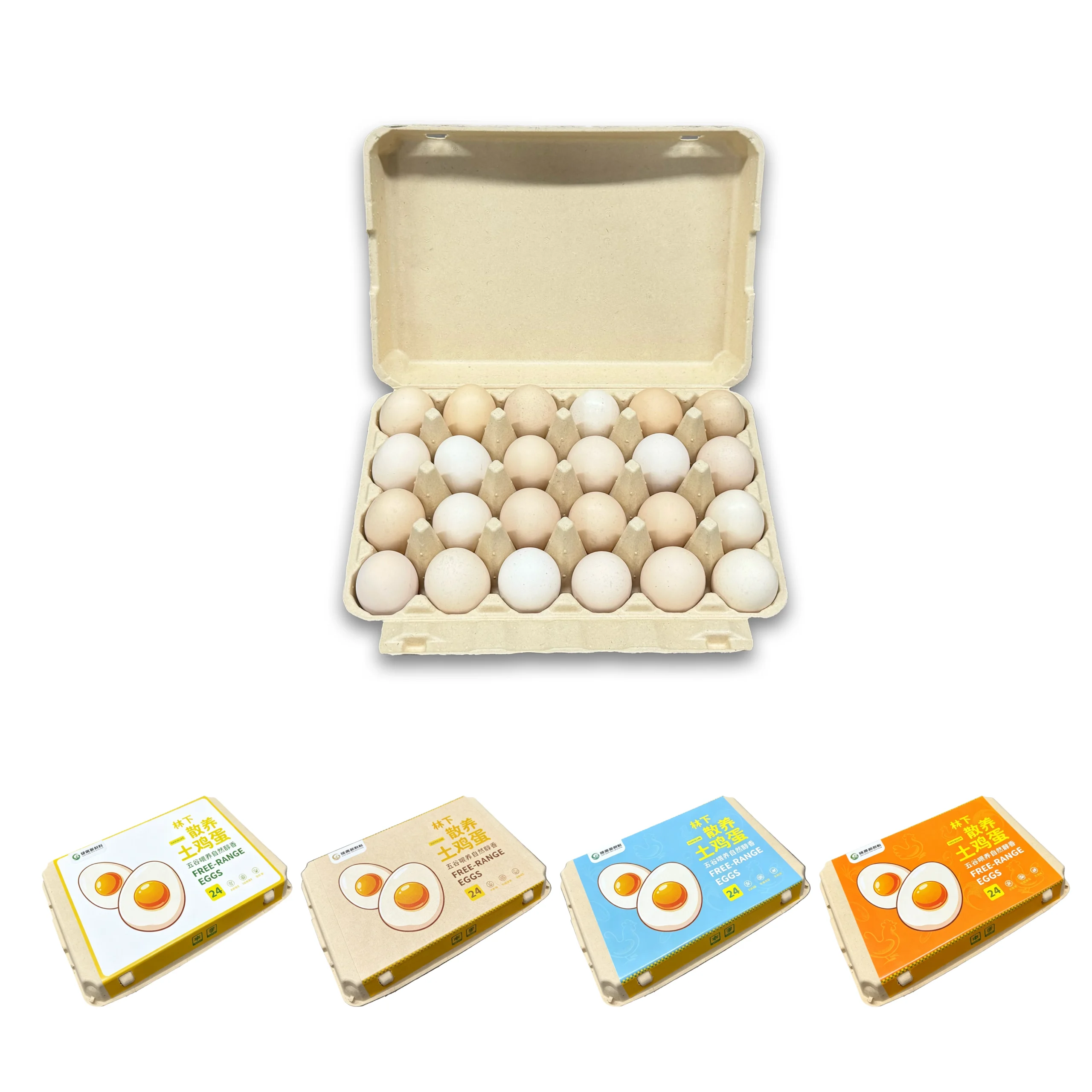 E24 Egg Carton