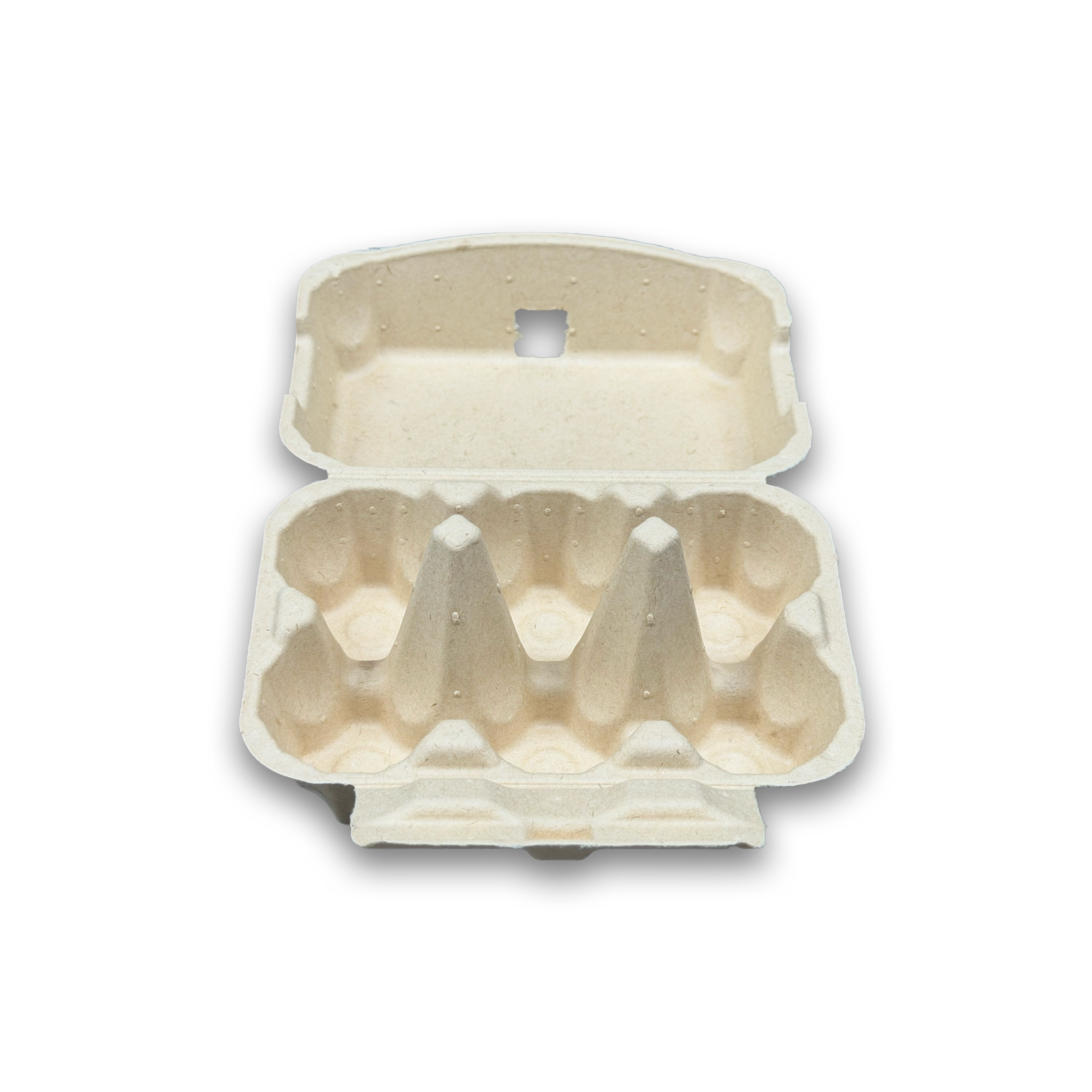 E6 Egg Carton (1)