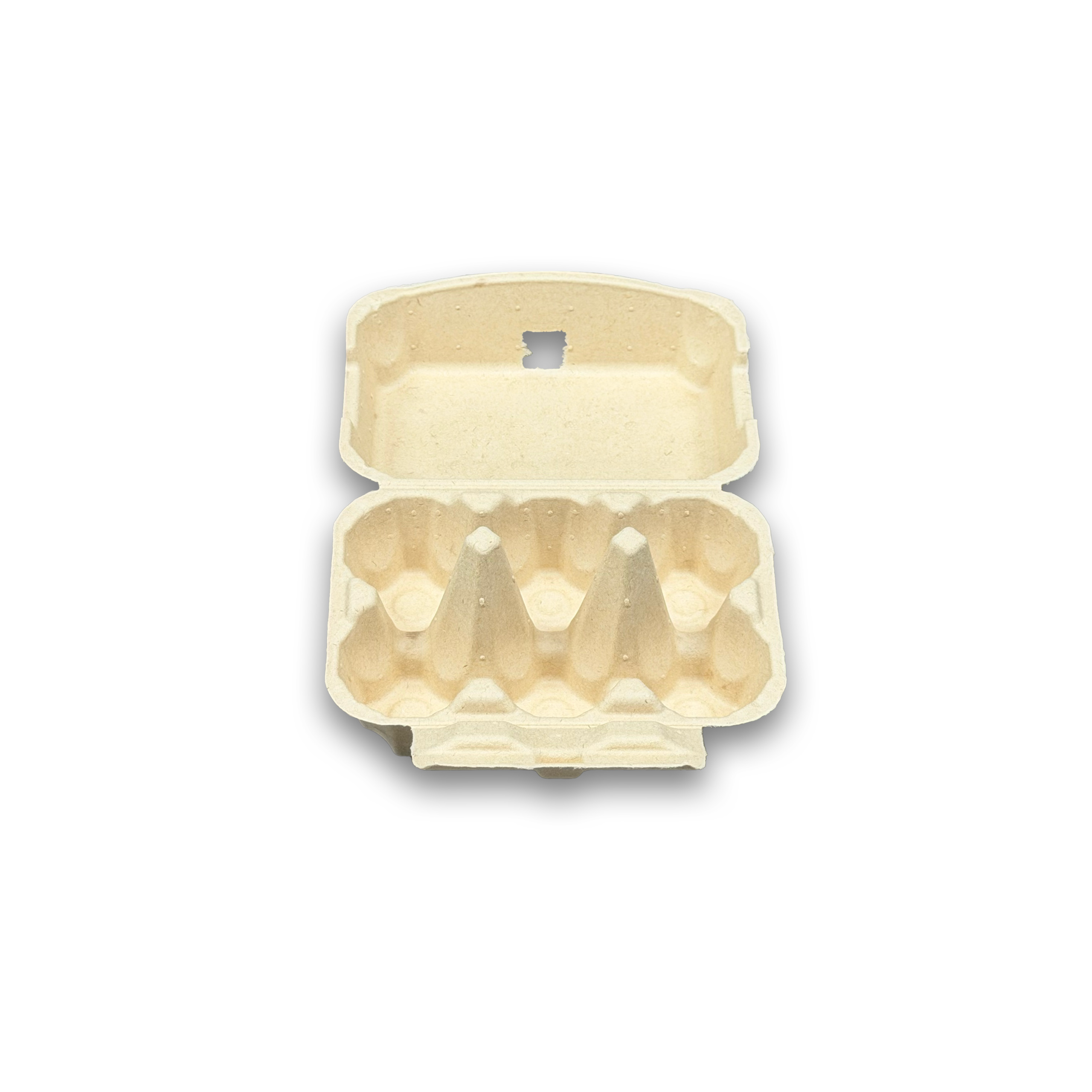 E6 Egg Carton (2)