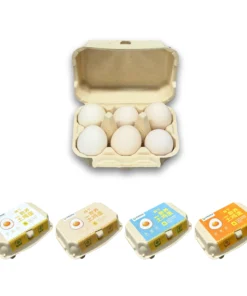 E6 Egg Carton