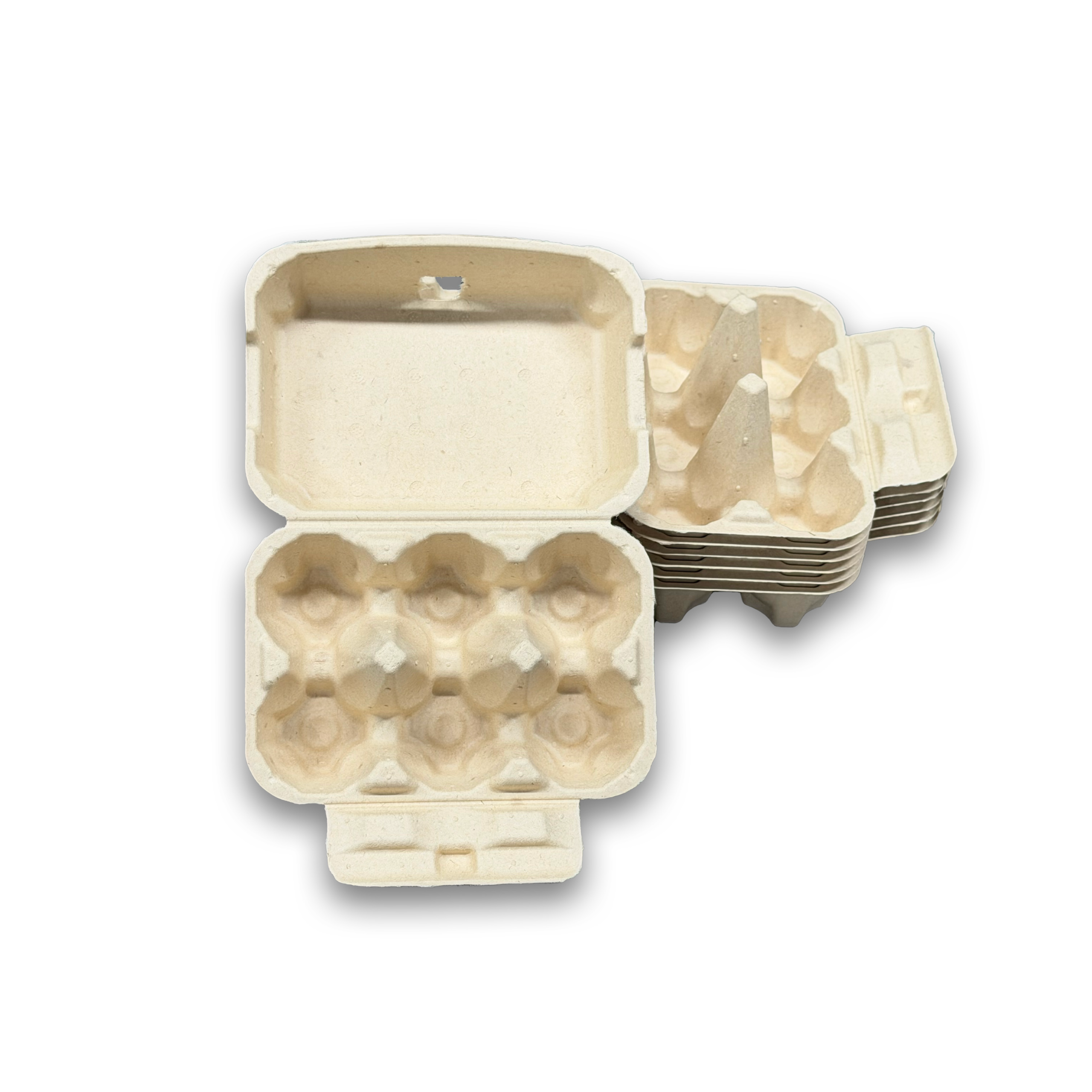 E6 Egg Carton (3)