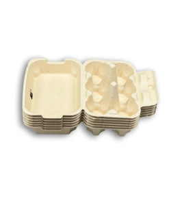 E6 Egg Carton (4)