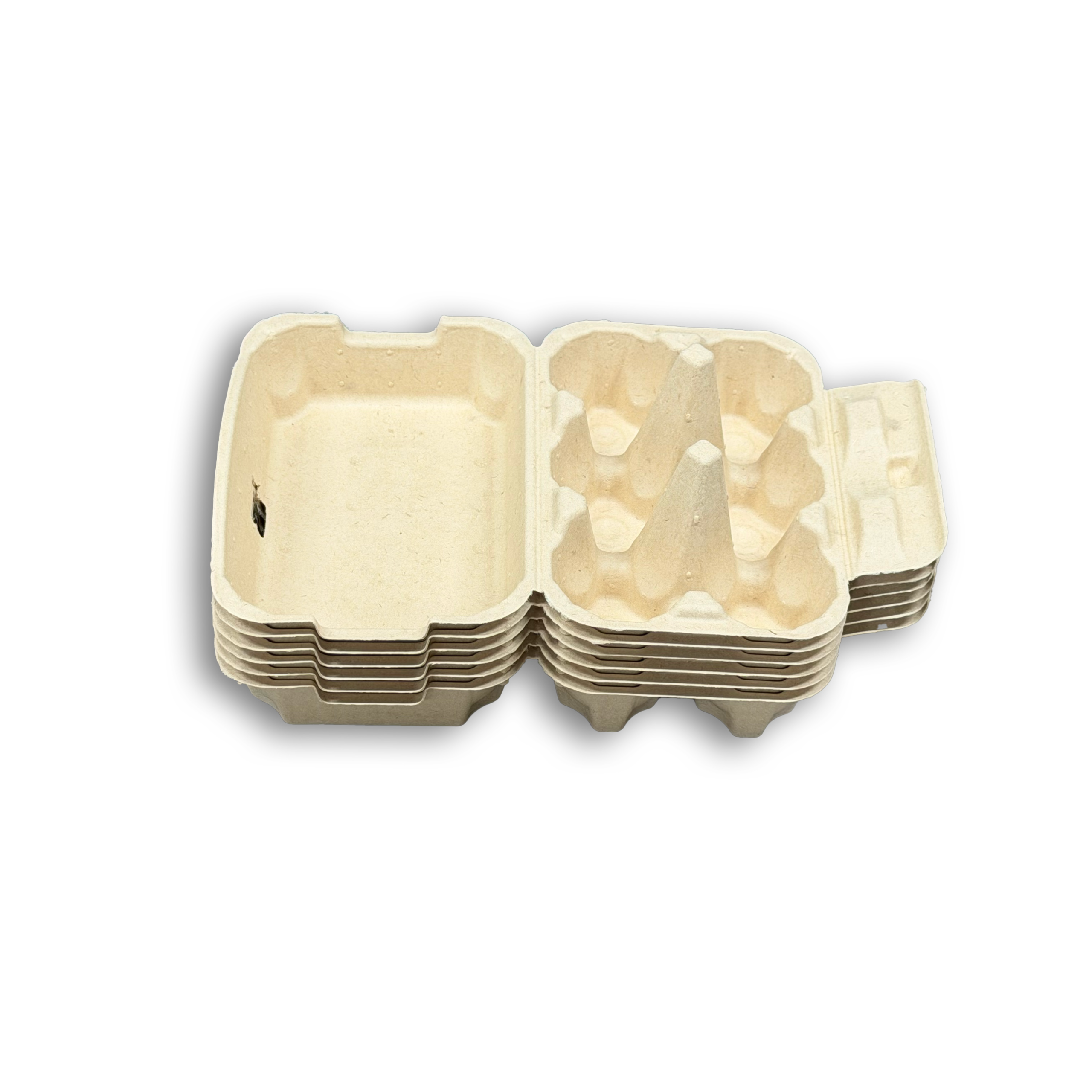 E6 Egg Carton (4)