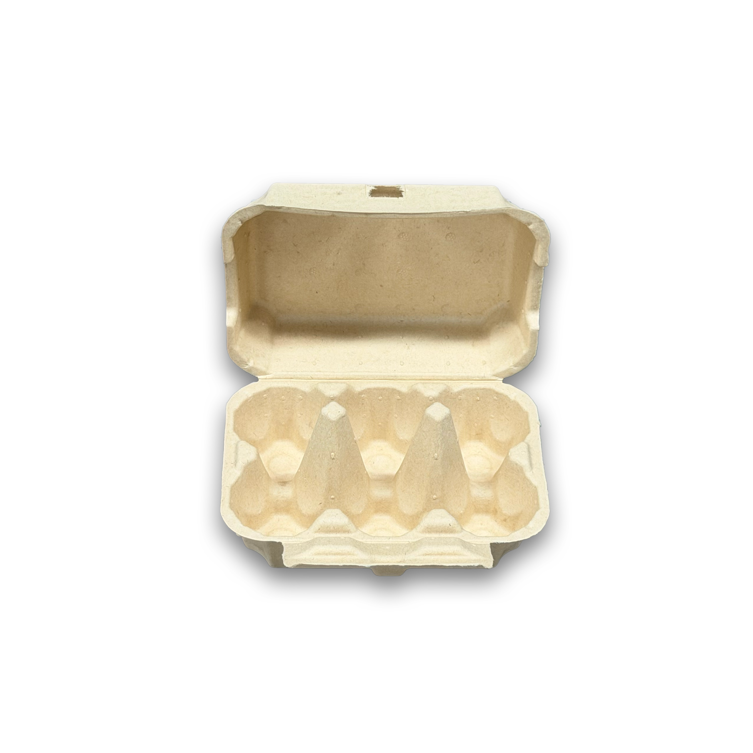 E6 Egg Carton (5)