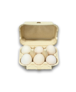 E6 Egg Carton (6)