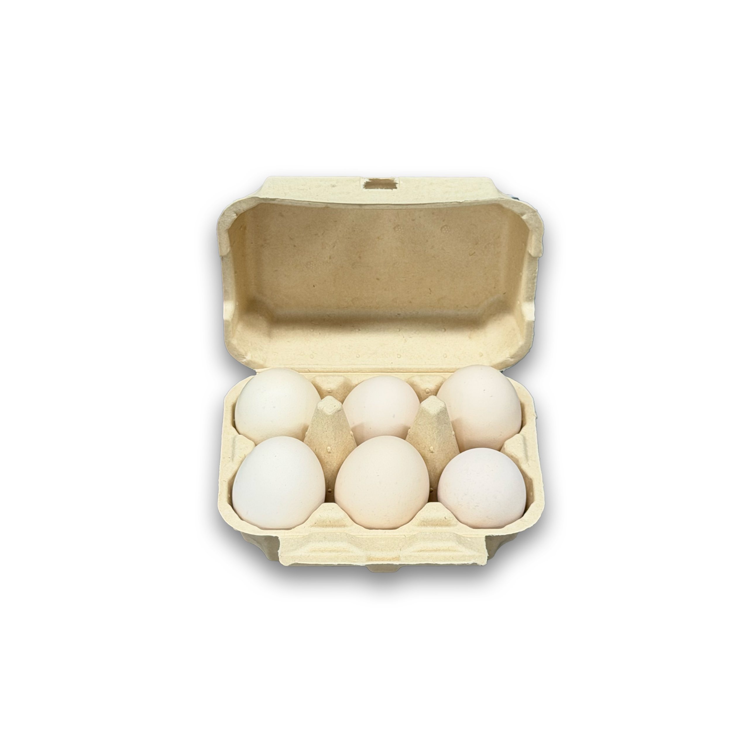 E6 Egg Carton (6)