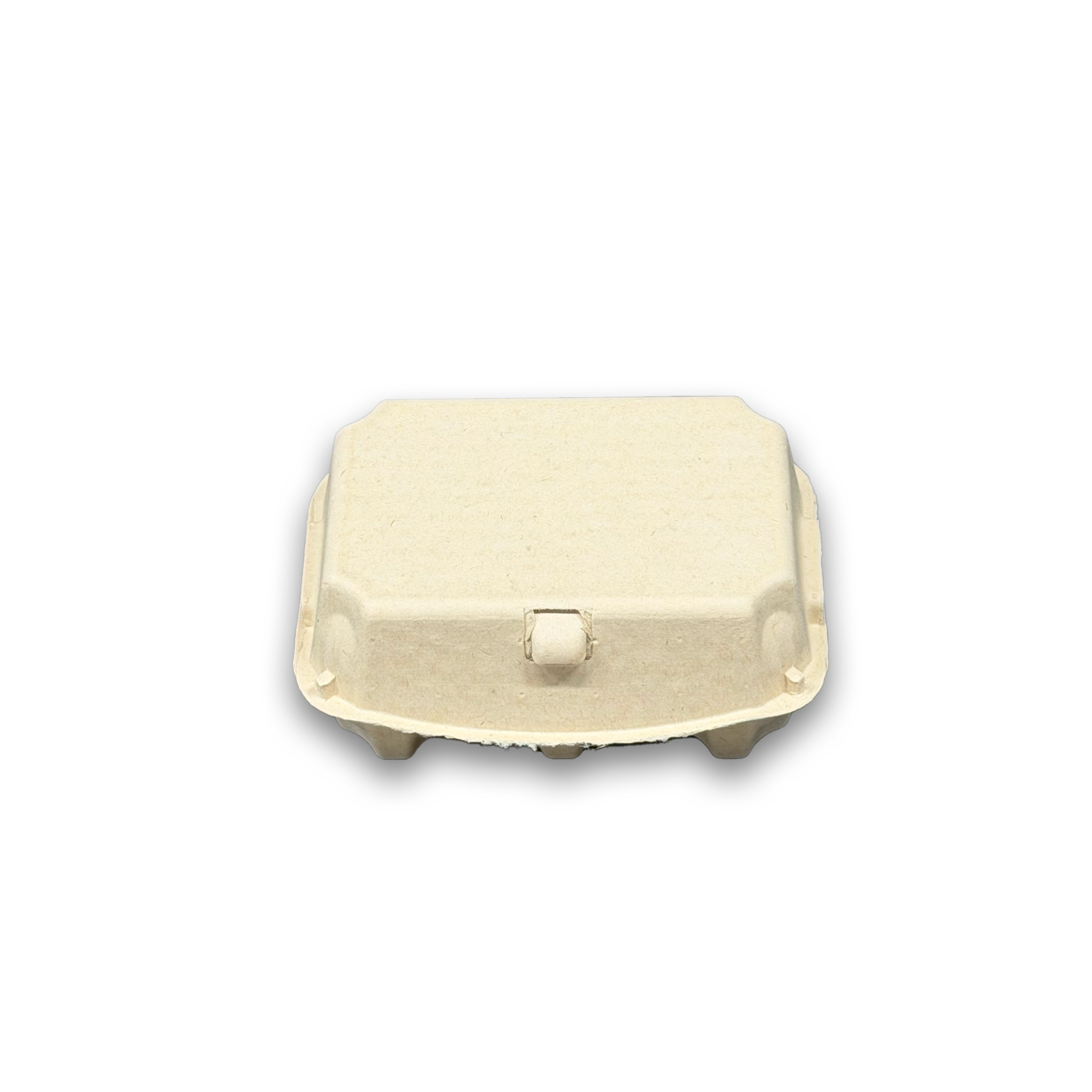 E6 Egg Carton (7)