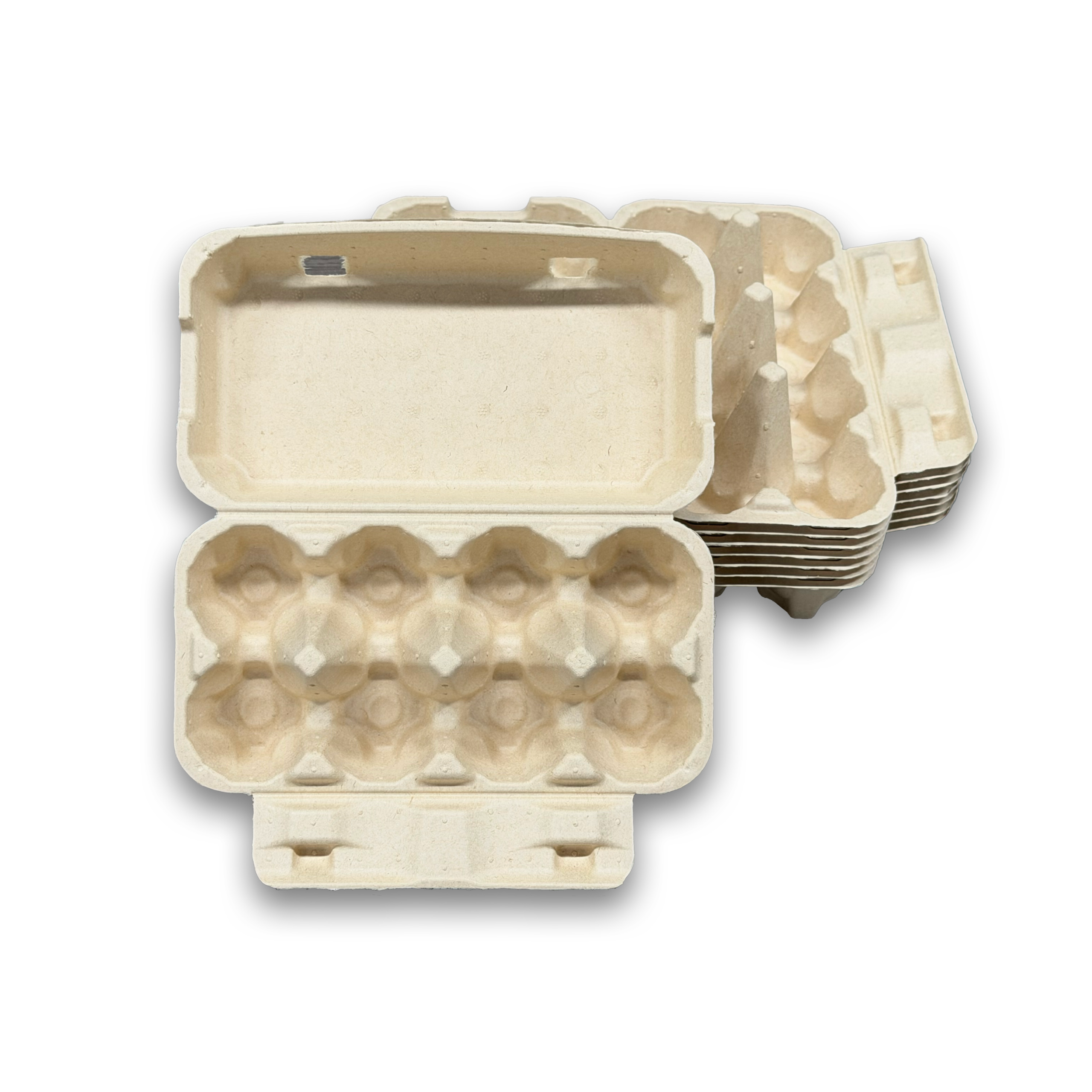 E8 Egg Carton (2)