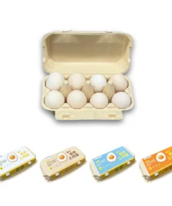 E8 Egg Carton