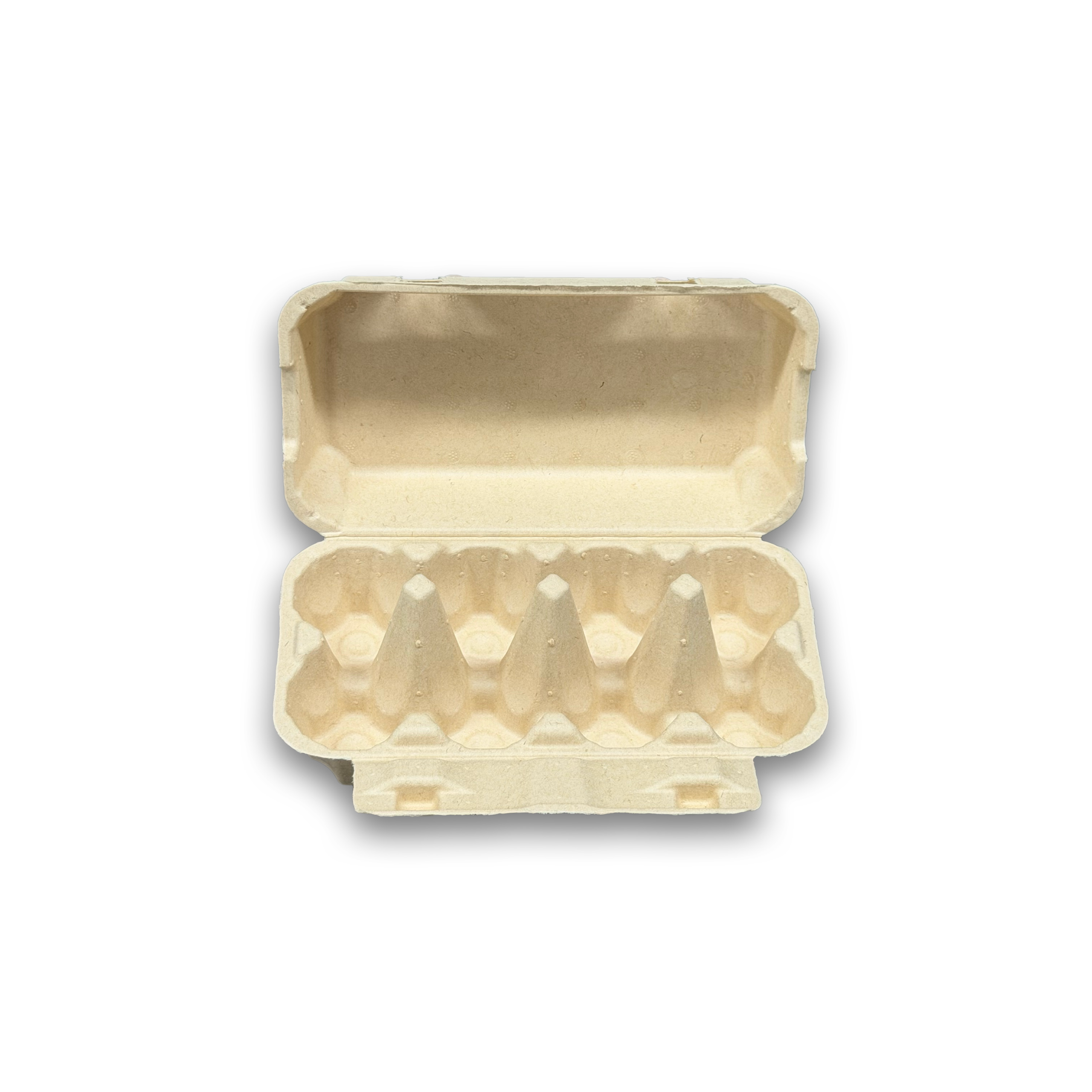 E8 Egg Carton (3)
