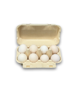 E8 Egg Carton (4)