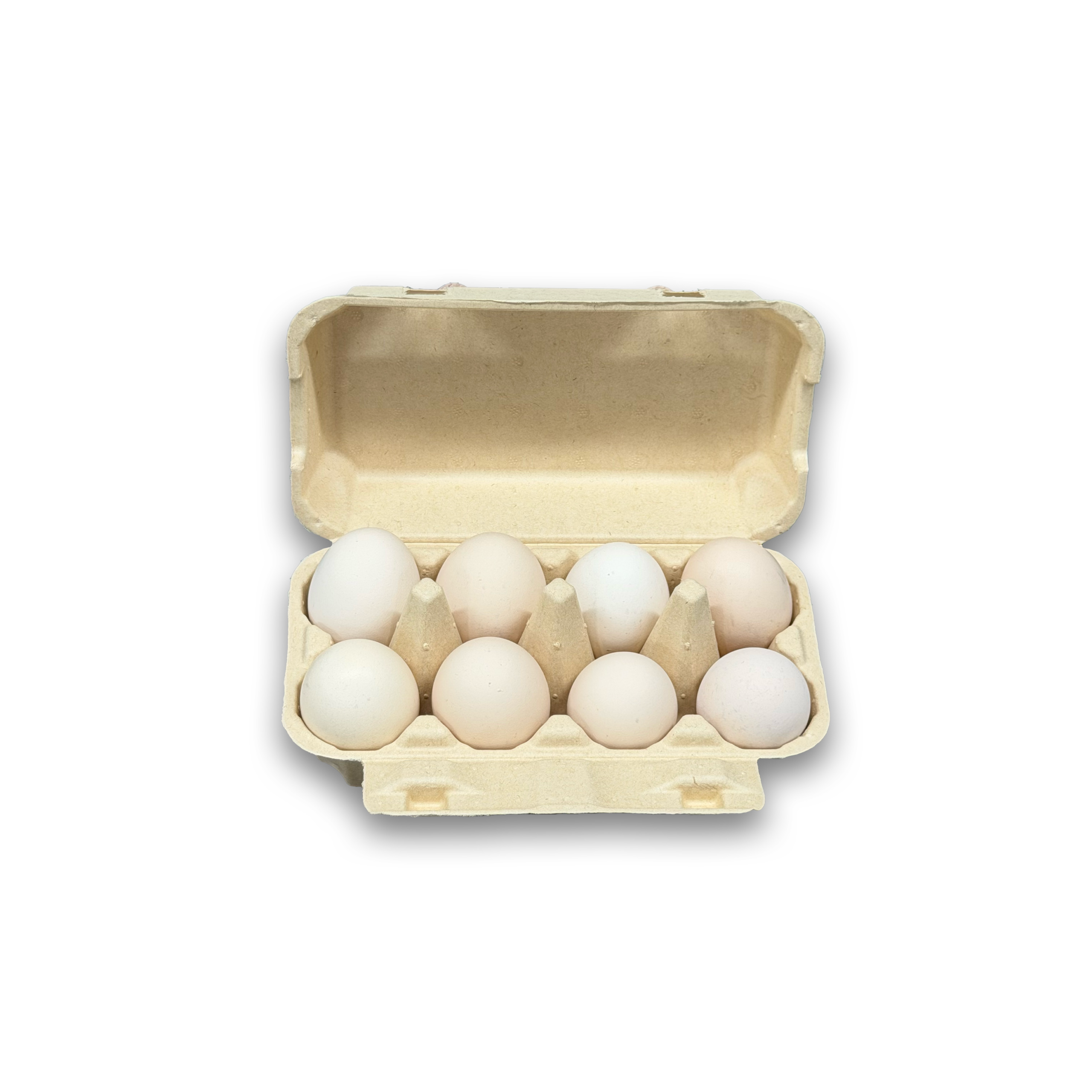 E8 Egg Carton (4)