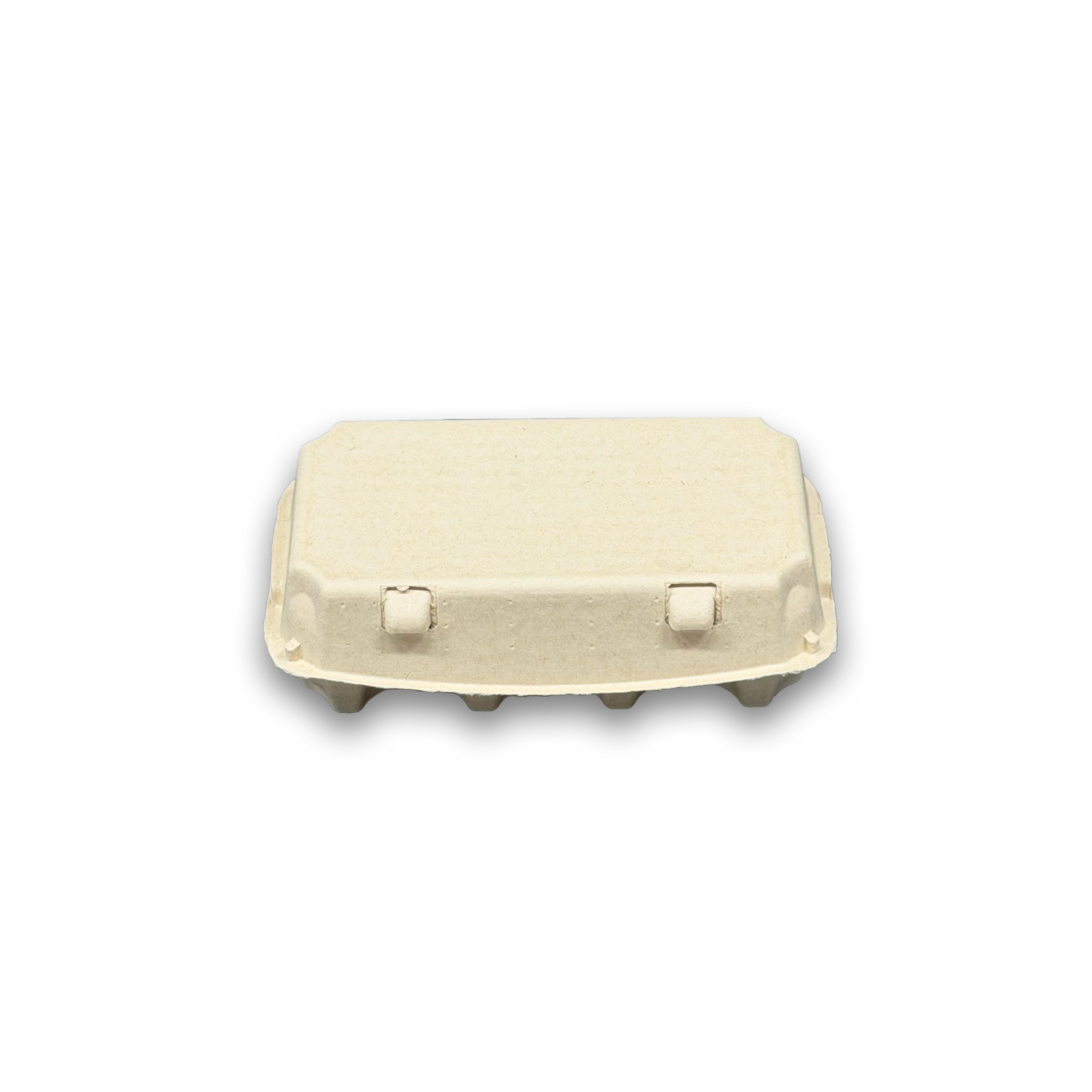 E8 Egg Carton (5)
